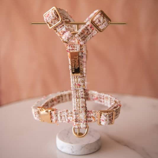 Bildquelle: Floofs and Cookies