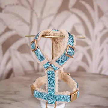 Bildquelle: Floofs and Cookies