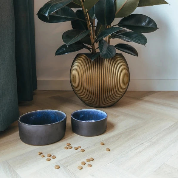 Bildquelle: AVA bowls