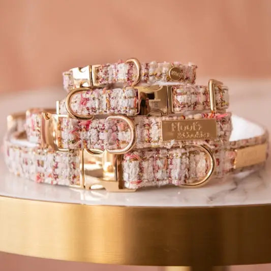 Bildquelle: Floofs and Cookies