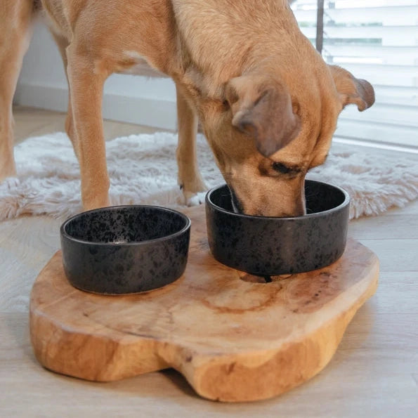 Bildquelle: AVA bowls