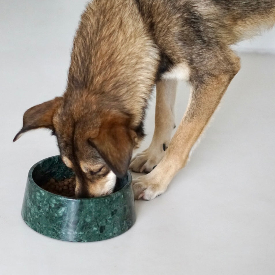 Bildquelle: STUDIO ANIMAUX