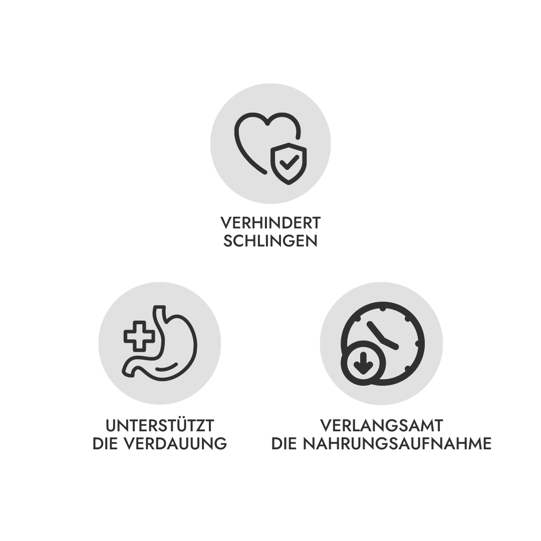 Bildquelle: LOVN'DOG