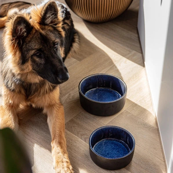 Bildquelle: AVA bowls