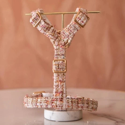 Bildquelle: Floofs and Cookies