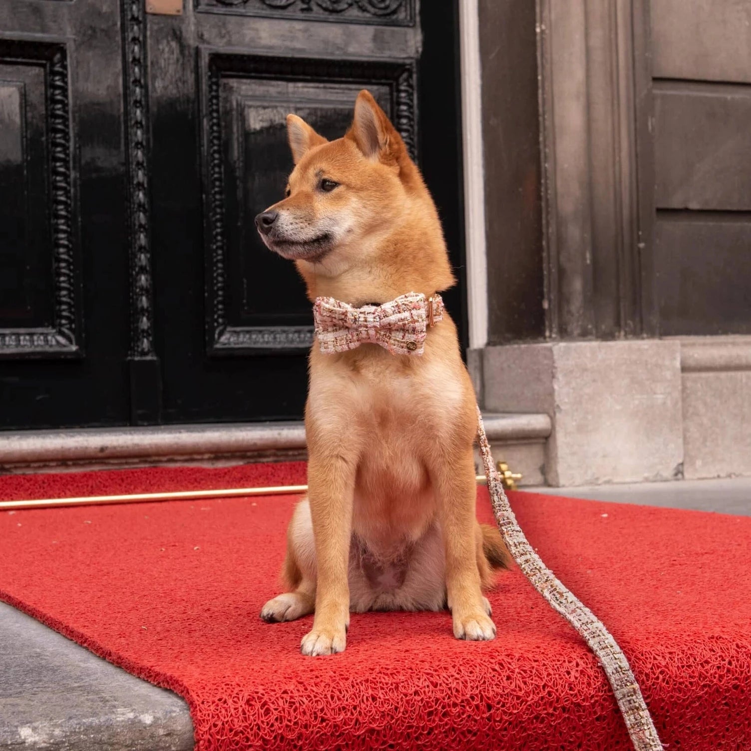 Bildquelle: Floofs and Cookies