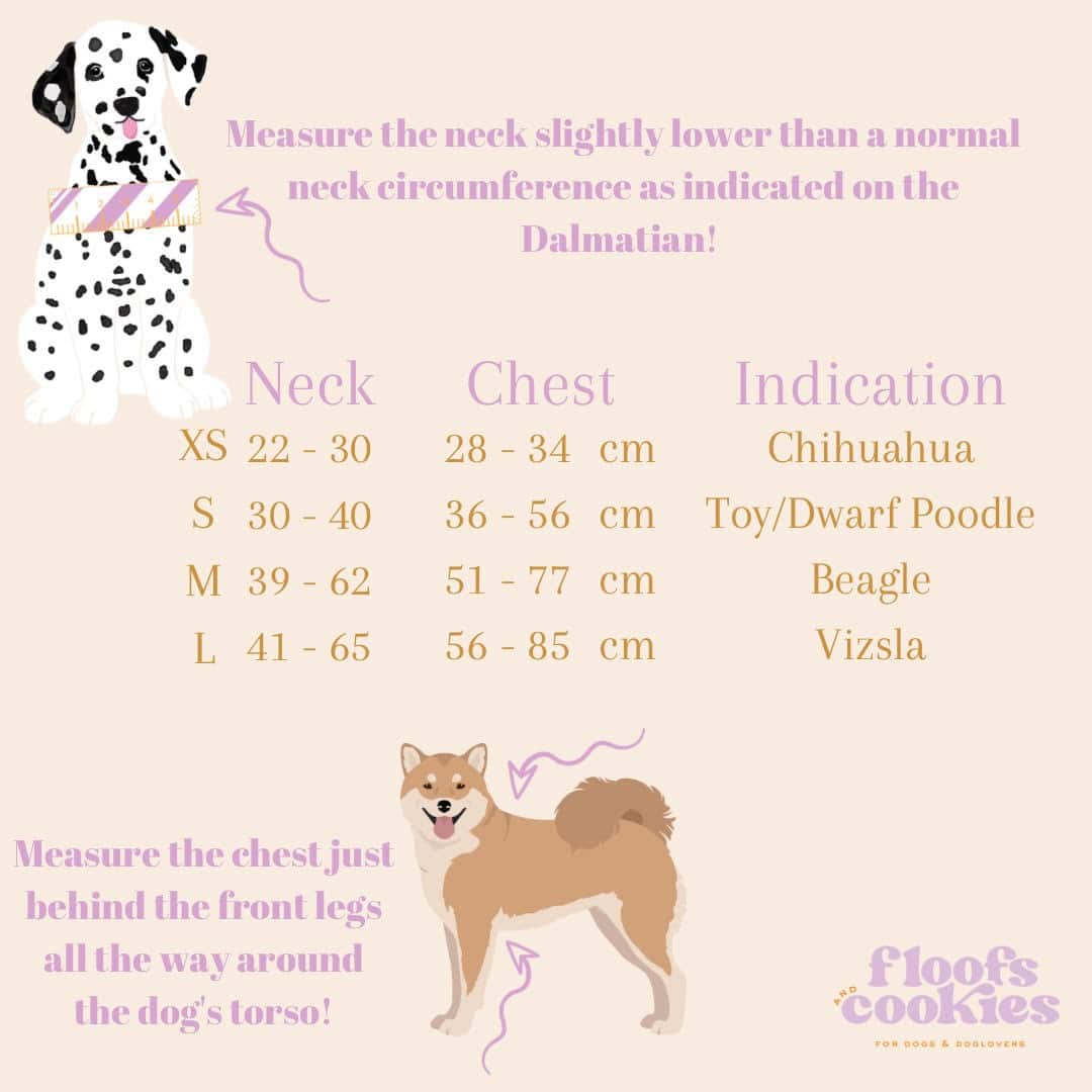 Bildquelle: Floofs and Cookies