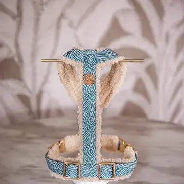 Bildquelle: Floofs and Cookies