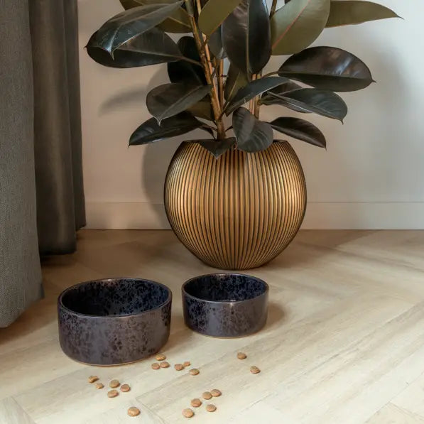 Bildquelle: AVA bowls