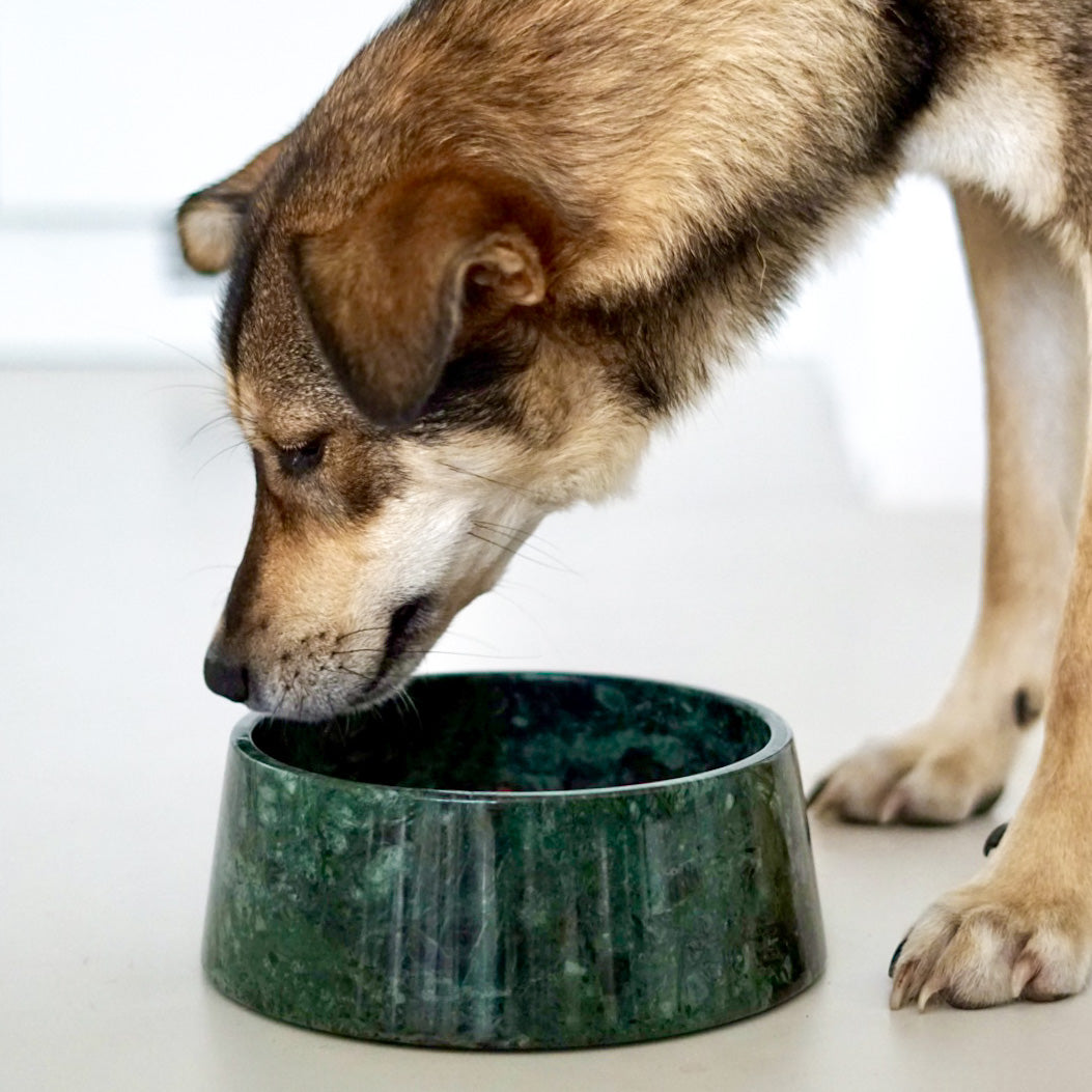 Bildquelle: STUDIO ANIMAUX